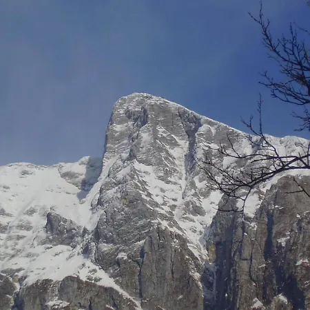 Apartma Vilma דירה