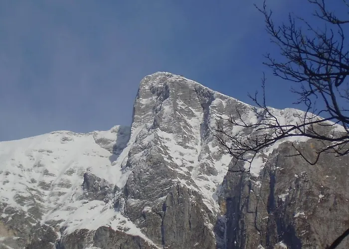 Apartma Vilma Lejlighed