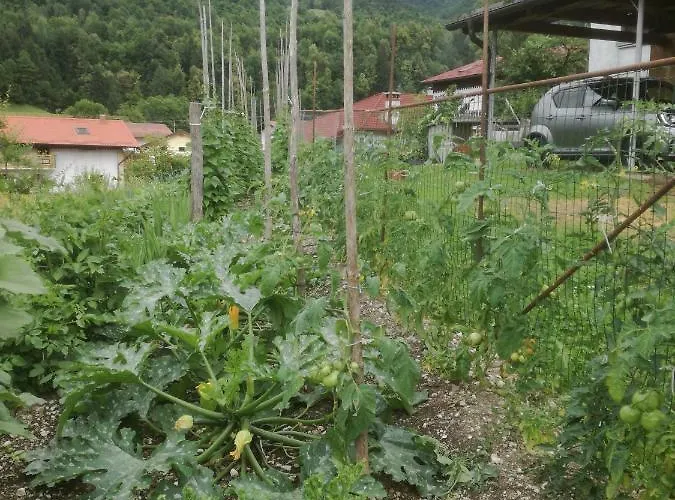 Apartment Apartma Vilma Kobarid